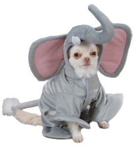 PE_Elephant_dog_costume_pet